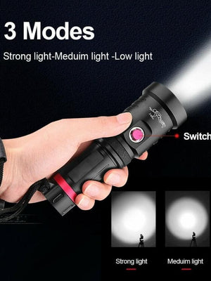 Collection of flashlights